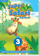 Super Safari Level 3 Big Book