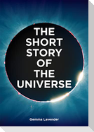 The Short Story of the Universe