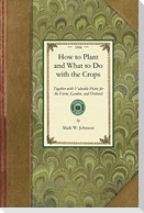 How to Plant and What to Do