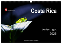 Costa Rica tierisch gut 2025 (Wandkalender 2025 DIN A3 quer), CALVENDO Monatskalender