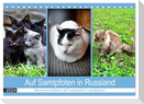 Auf Samtpfoten in Russland - Museums-Katzen auf russischen Landgütern (Tischkalender 2024 DIN A5 quer), CALVENDO Monatskalender