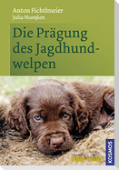 Die Prägung des Jagdhundwelpen