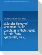 Molecular Biology of Membrane-Bound Complexes in Phototrophic Bacteria