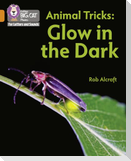 Animal Tricks: Glow in the Dark