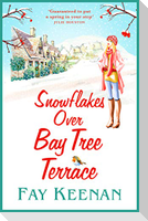 Snowflakes Over Bay Tree Terrace