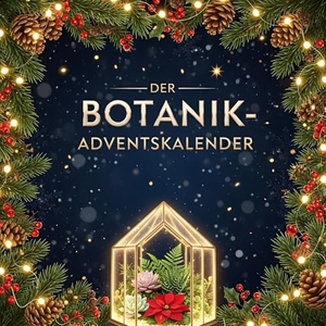 Becker, Aaron. Der Botanik-Adventskalender. FlipFlop, 2025.