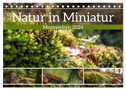 Natur in Miniatur - Mooswelten (Tischkalender 2024 DIN A5 quer), CALVENDO Monatskalender