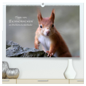 Tipps von Eichhörnchen an Eichhörnchenliebhaber (hochwertiger Premium Wandkalender 2025 DIN A2 quer), Kunstdruck in Hochglanz
