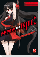 Akame ga KILL! 01