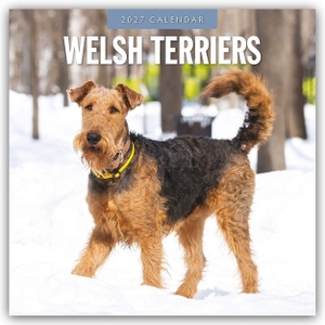 Red, Robin. Welsh Terriers - Welsh Terrier 2027 - 16-Monatskalender - Original Red Robin Publishing Ltd-Kalender [Mehrsprachig] [Kalender]. Browntrout Verlags GmbH, 2026.