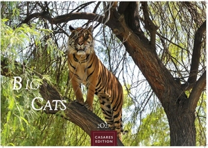 Big Cats Kalender 2027 - Wandkalender | Fotokalender Tierkalender 24x35cm - Wunderschöner Großkatzen-. mit beeindruckenden Fotos von Tiger| Löwen | Jaguar | Gepard | Luchs | Puma. Casares Fine Art Edition, 2026.