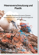 Meeresverschmutzung und Plastik - Wie der Plastikmüll unsere Ozeane verschmutzt und welche Auswirkungen es gibt