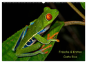 Frösche & Kröten Costa Rica (Wandkalender 2024 DIN A2 quer), CALVENDO Monatskalender