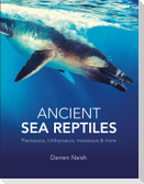 Ancient Sea Reptiles