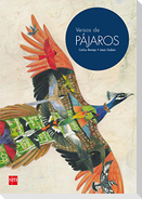 Versos de pájaros