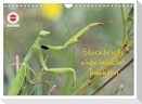 GEOclick Lernkalender: Insekten (Wandkalender 2025 DIN A4 quer), CALVENDO Monatskalender