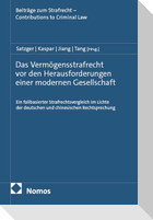 Das Vermögensstrafrecht vor den Herausforderungen einer modernen Gesellschaft