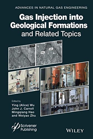 Wu. Gas Injection Geological Forma. John Wiley & Sons, 1900.