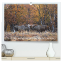 Der Elch - König der skandinavischen Wälder (hochwertiger Premium Wandkalender 2024 DIN A2 quer), Kunstdruck in Hochglanz