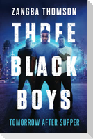Three Black Boys: Tomorrow After Supper