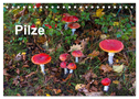 Pilze (Tischkalender 2024 DIN A5 quer), CALVENDO Monatskalender