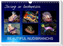 Diving in Indonesia - BEAUTIFUL NUDIBRANCHS (Wall Calendar 2024 DIN A4 landscape), CALVENDO 12 Month Wall Calendar