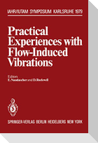 Practical Experiences with Flow-Induced Vibrations