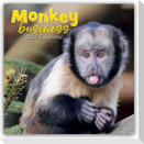 Monkey Business 2027 - 16-Monatskalender