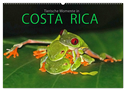 COSTA RICA - Tierische Momente (Wandkalender 2025 DIN A2 quer), CALVENDO Monatskalender