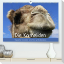 Die Kameliden. Hübsche Kamele, Lamas und Alpakas (Premium, hochwertiger DIN A2 Wandkalender 2023, Kunstdruck in Hochglanz)