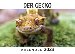 Hübsch, Bibi. Der Gecko - Kalender 2023. 27Amigos, 2022.
