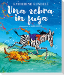 Una zebra in fuga