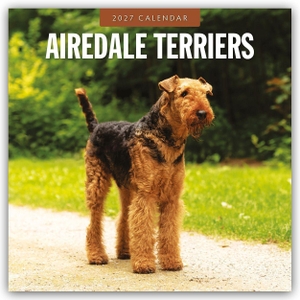 Red, Robin. Airdale Terriers - Airdale Terrier 2027 - 16-Monatskalender - Original Red Robin Publishing Ltd-Kalender [Mehrsprachig] [Kalender]. Browntrout Verlags GmbH, 2026.