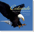 Colorado Wildlife Portfolio