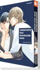 Sonnenschein nach rauchblauem Regen - Band 7