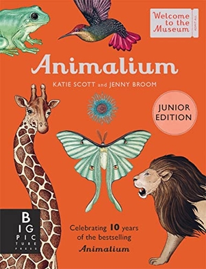 Broom, Jenny. Animalium (Junior Edition). Templar Books, 2023.