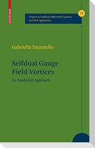 Selfdual Gauge Field Vortices