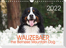 WAUZEBAER the Bernese Mountain Dog (Wall Calendar 2022 DIN A4 Landscape)