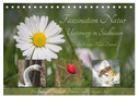 Faszination Natur Unterwegs in Südhessen (Tischkalender 2024 DIN A5 quer), CALVENDO Monatskalender