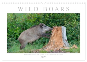 Breuer, Michael. Wild Boars (Wall Calendar 2025 DIN A3 landscape), CALVENDO 12 Month Wall Calendar - An outstanding and memorable collection of wildlife pictures.. Calvendo, 2024.
