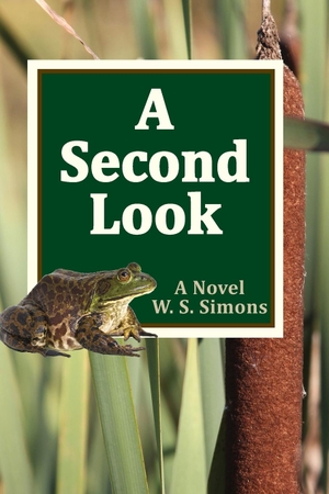Simons, Wendy S. A SECOND LOOK. WS SIMONS BOOKS, 2023.