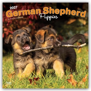 Publishers, Browntrout. German Shepherd Puppies - Deutsche Schäferhund Welpen 2027 - 16-Monatskalender - Original BrownTrout-Kalender [Mehrsprachig] [Kalender]. Browntrout Verlags GmbH, 2026.