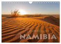 Lichterfülltes Namibia (Wandkalender 2024 DIN A4 quer), CALVENDO Monatskalender