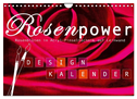 Rosenpower (Wandkalender 2024 DIN A4 quer), CALVENDO Monatskalender