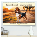 Basset Hound - unverkennbar (hochwertiger Premium Wandkalender 2025 DIN A2 quer), Kunstdruck in Hochglanz