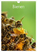 Bienen (Wandkalender 2025 DIN A4 hoch), CALVENDO Monatskalender