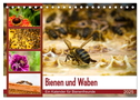 Bienen und Waben (Tischkalender 2025 DIN A5 quer), CALVENDO Monatskalender