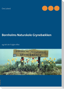 Bornholms Naturskole Grynebækken