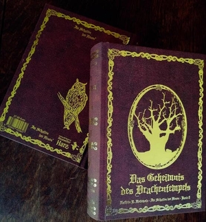 Hotowetz, Kathrin R.. Im Schatten der Hexen VIII - Das Geheimnis des Drachentempels - Schmuckedition Bd. 8 - Ein mystischer Harz-Krimi. Geistmühle Verlag, 2026.