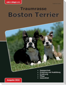 Traumrasse Boston Terrier